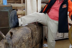 IMG_20160508_135549623