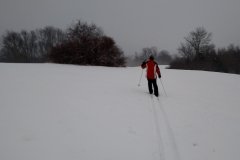 IMG_20150301_181452400